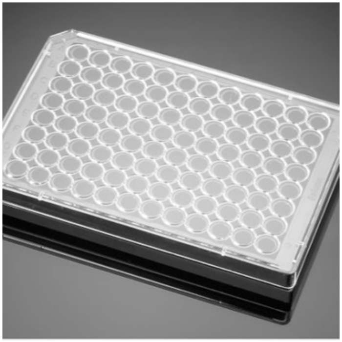 Ⅰ型胶原包被的96孔板Collagen I 96 Well Black/Clear Flat Bottom TC-Treated Microplate, with Lid|96孔|Biocoat