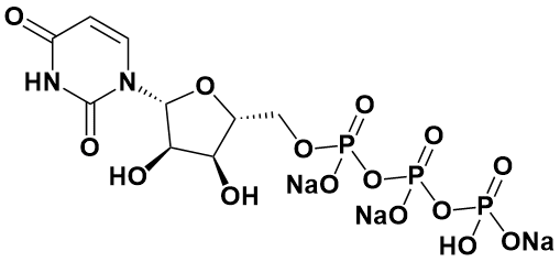 尿苷-5-三磷酸三钠盐|Uridine 5'-triphosphate trisodium salt|19817-92-6|VWR/Amresco|≥98%|ULTRA PURE GRADE|250MG