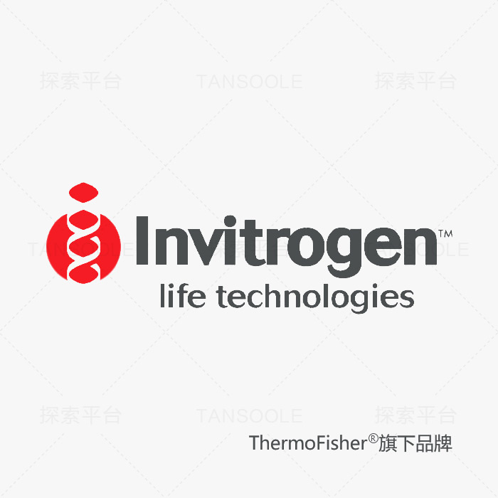 SYPRO 蛋白凝胶染色剂|Invitrogen|200 mL