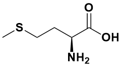 L-甲硫氨酸|L-Methionine|63-68-3|VWR/Amresco|USP GRADE|500G