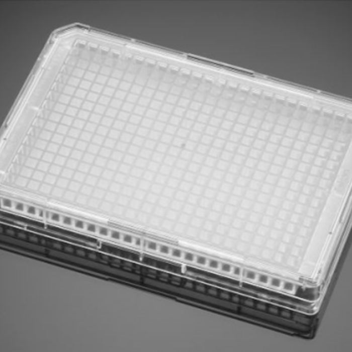 多聚-D-赖氨酸包被的384孔板Poly-D-Lysine 384 Well Clear Flat Bottom TC-Treated  Microplate, with Lid|384孔|Biocoat