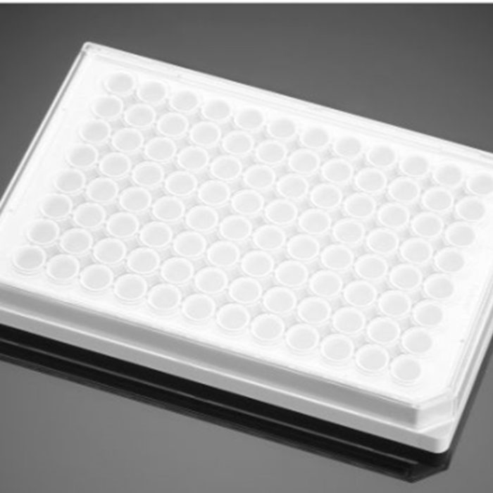 多聚-D-赖氨酸包被的384孔板Poly-D-Lysine 384 Well White Flat Bottom TC-Treated  Microplate, with Lid|384孔|Biocoat