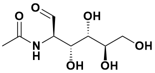 N-乙酰基-D-葡糖胺|N-Acetyl-D-glucosamine|7512-17-6|源叶|100g