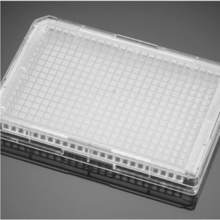 多聚-D-赖氨酸包被的384孔板Poly-D-Lysine 384 Well Clear Flat Bottom Microplate, with Lid|384孔|Biocoat