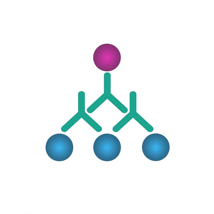 Phospho-4E-BP1 (Ser65) 兔多抗|Willget/文渊阁|100ul