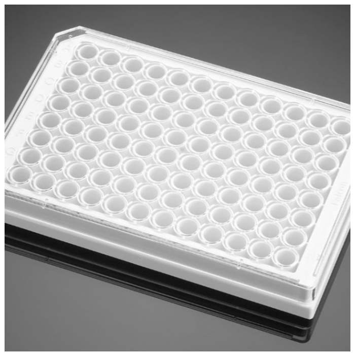 多聚-D-赖氨酸包被的96孔板Poly-D-Lysine 96 Well White/Clear Flat Bottom TC-Treated Microplate, with Lid|96孔|Biocoat