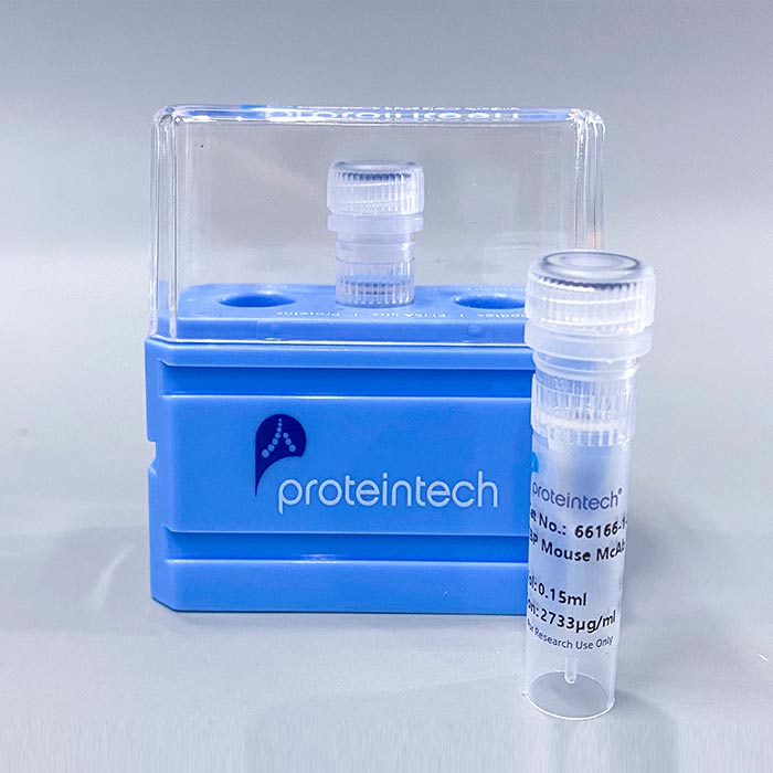 HRP-conjugated IgG Fraction Monoclonal 鼠抗兔 IgG, Light Chain Specific|HRP-conjugated IgG Fraction Monoclonal Mouse Anti-Rabbit IgG, Light Chain Specific|Proteintech/武汉三鹰|100ul