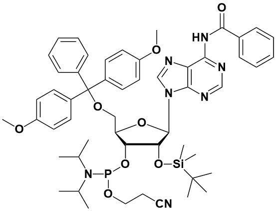 N-苯甲酰基-5-O-(4,4-二甲氧基三苯甲基)-2-O-[(叔丁基)二甲基硅基]腺苷-3-(2-氰基乙基-N,N-二异丙基)亚磷酰胺|Dmt-2'O-Tbdms-rA(bz) Phosphoramidite|104992-55-4|源叶|5g