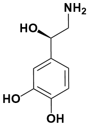 去甲肾上腺素|Norepinephrine|51-41-2|源叶|5g