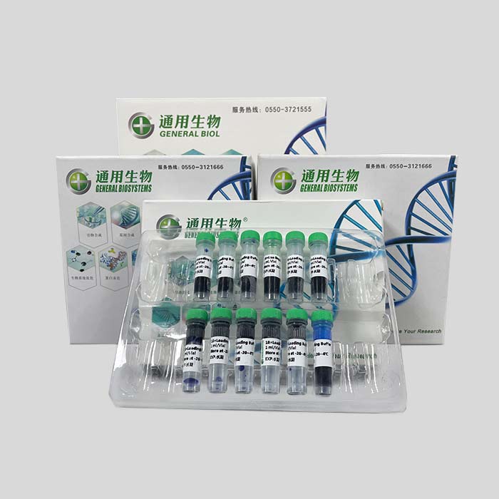 DNA loading buffer（10×） 缓冲液|通用生物|1 mL