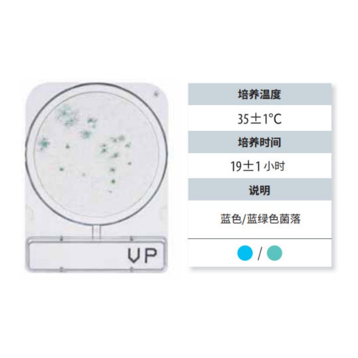 副溶血性弧菌测试片|240片|Shimadzu/岛津