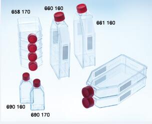 细胞培养瓶，175cm²，最大容积550ml（flat），TC处理，红色标准盖，灭菌，5个/包||Greiner/葛莱娜