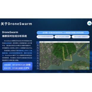 DroneSwarm 蜂群实时在线分析系统