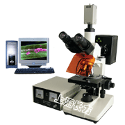 CFM-200EC上海長方數碼熒光顯微鏡