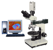XPV-203EC/XPV-203ZD偏光显微镜