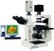XSP-18CD上海长方科研倒置数码生物显微镜