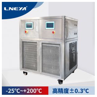 LNEYA-20℃~300℃高低温循环装置—SUNDI-655