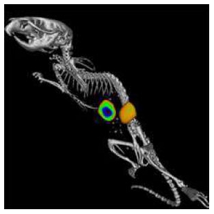 珀金埃尔默 IVIS Spectrum 小动物活体成像系统