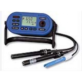 深水水质检测仪（可测pH，溶氧，ORP，温度，电导，盐度