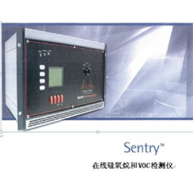 Sentry™ 在线硅氧烷和VOC检测仪