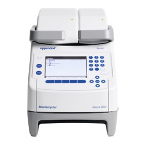 Eppendorf Mastercycler nexus X2 PCR儀