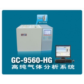 高纯气体分析系统GC-9560-PDD