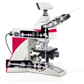 徕卡生命科学正置显微镜 Leica DM6 B