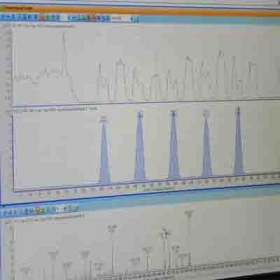DART® SVP 实时直接分析-质谱系统