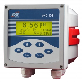 在线pH/ORP·酸度计 ，在线pH/ORP，PHG-3081