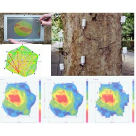 ARBOTOM二维/三维脉冲树木探测仪