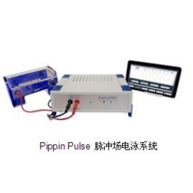 Pippin Pulse 脉冲场电泳系统