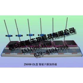 ZNJR-DL-B多联恒温电热板
