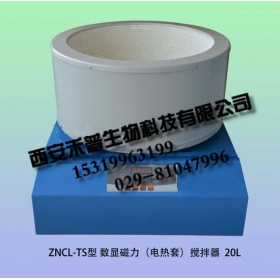 ZNCL-30L数显磁力（电热套）搅拌器