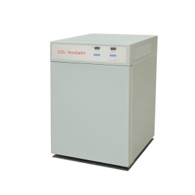 申骋 BPN-80CW(UV) 二氧化碳细胞培养箱