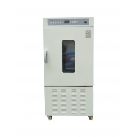 申骋 LHS-250SC 恒温恒湿箱