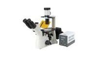 预算1525.1万元 山东第一医科大学采购荧光倒置显微镜