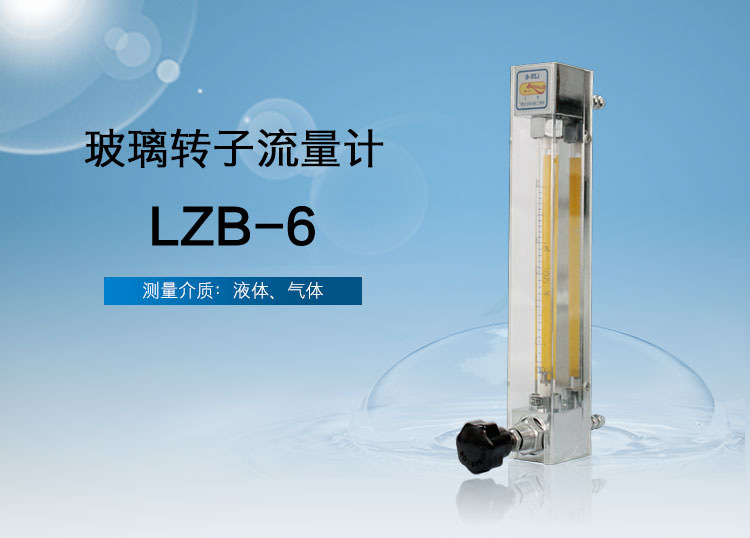 LZB-6微小流量玻璃转子流量计