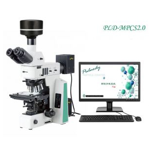 显微镜计数系统 