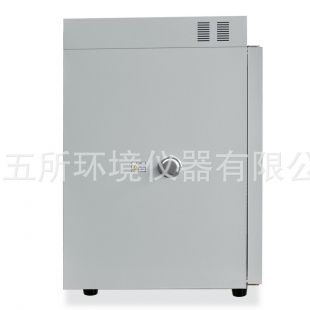 GWS/广五所GEC-200A/166L高精度数显电热鼓风干燥箱烘箱高温箱