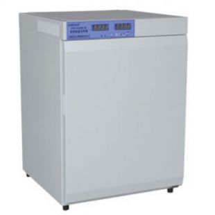 DNP-9082BS-Ⅲ 电热恒温培养箱 80L