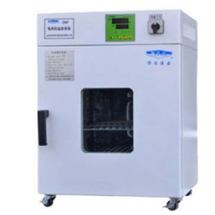 DNP-9272 电热恒温培养箱