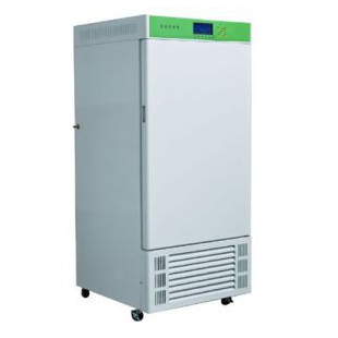 LHS-HC-250 恒温恒湿箱（内加湿）