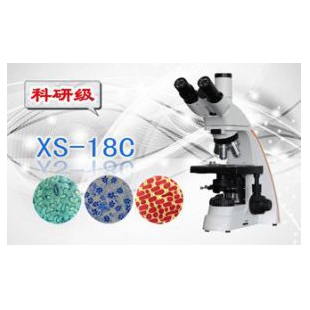 三目生物显微镜XS-18C