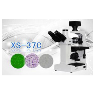 三目倒置生物显微镜XS-37C