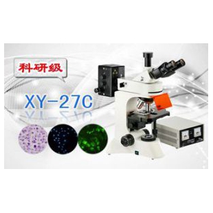 三目荧光显微镜XS-27C
