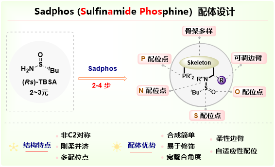 【阿拉丁】手性膦配体/催化剂——SadPhos 108将