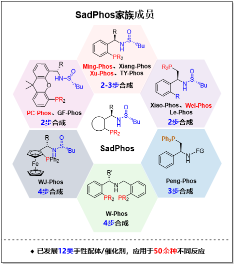 【阿拉丁】手性膦配体/催化剂——SadPhos 108将