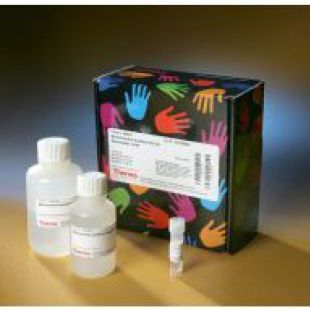 钦诚生物  DNA甲基化修饰试剂盒