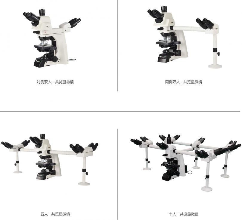 研究级生物显微镜NE910