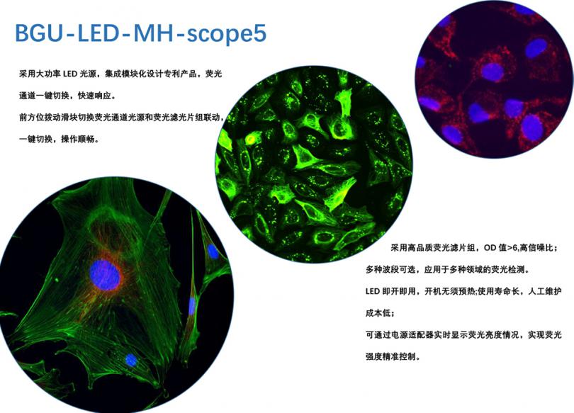 大功率LED荧光光源BGU-LED-MH-scope5（蔡司专用）,广州明慧